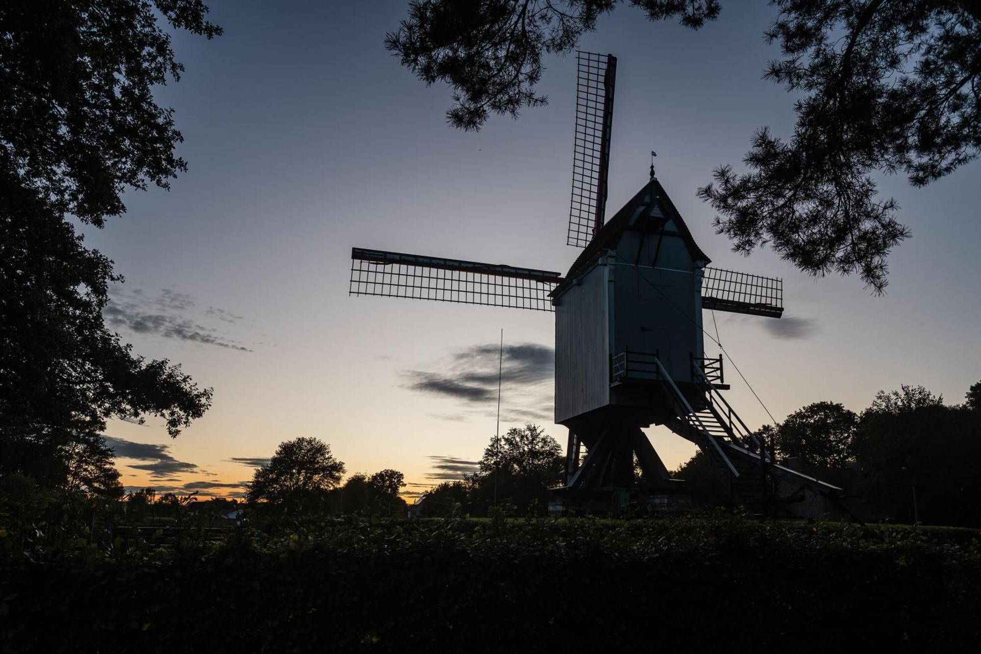 Beddermolen - Molenhuis Op Historisch Erfgoeddomein Westerlo Exteriör bild